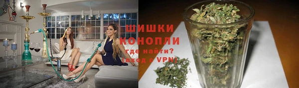 PSILOCYBIN Белокуриха