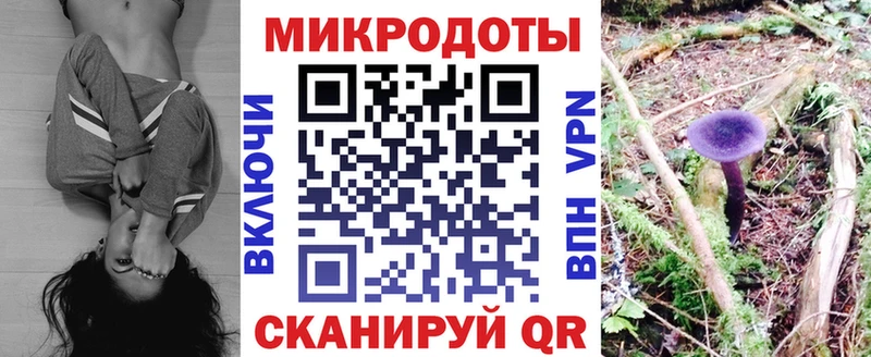 блэк спрут как зайти  наркота  Новошахтинск  Галлюциногенные грибы MAGIC MUSHROOMS 